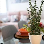 Azahar V & J Córdoba