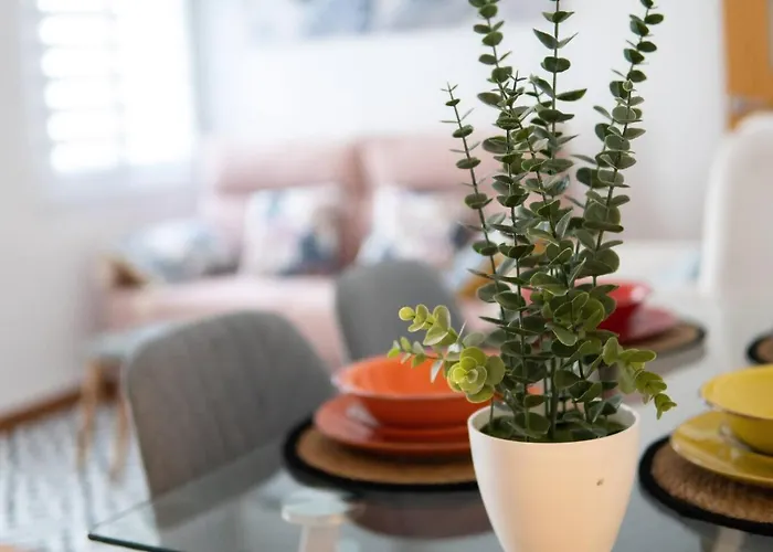 Azahar V & J Cordoba